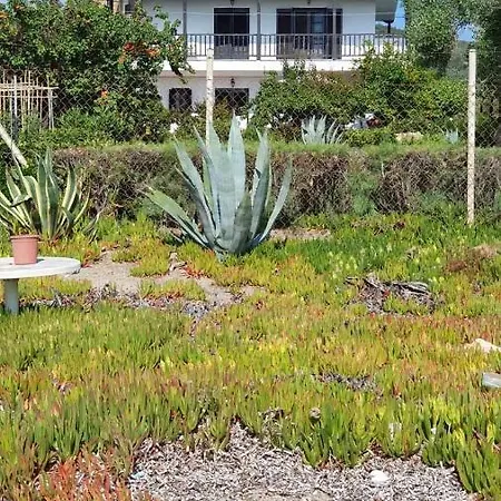 House Fany - Traditional House Just In Front Of The Sea * Akti Salonikiou